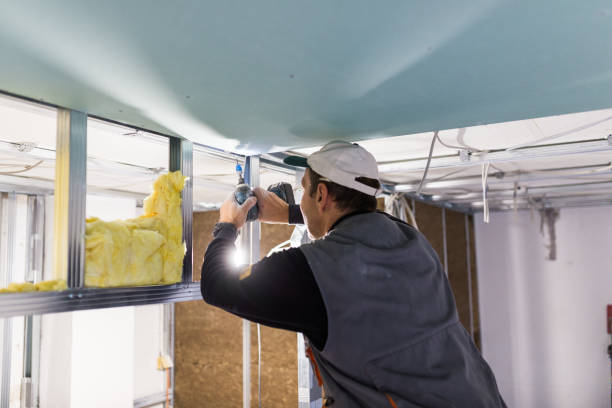 Best Geographic-Specific Insulation Services in Batavia, OH